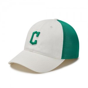 MLB New Cover Mesh Cap Green | Australia_MLB69153