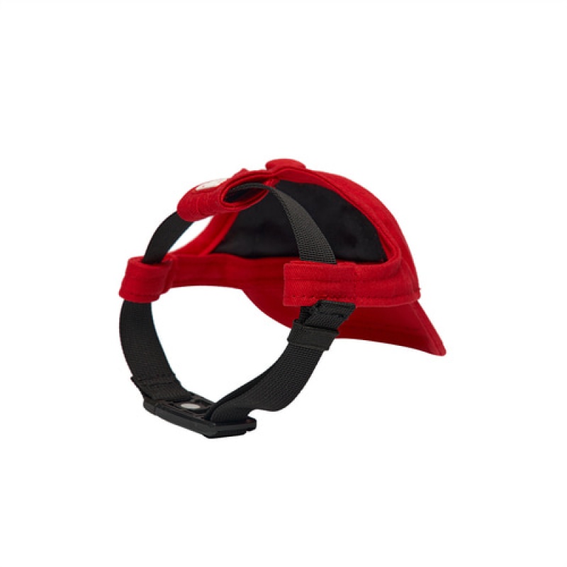 MLB Basic Cap Pet Red | Australia_MLB54670