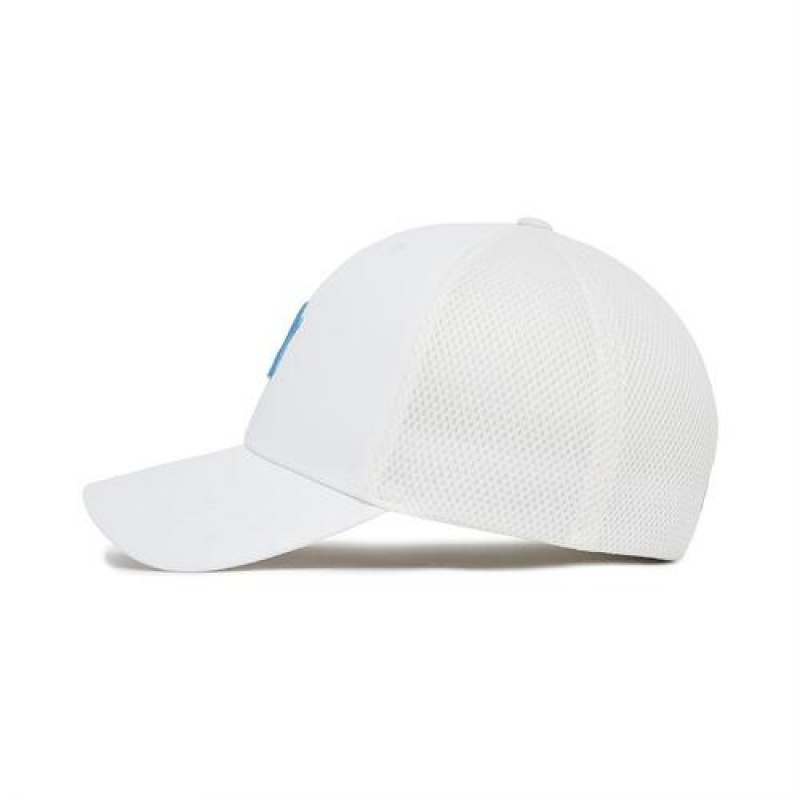 MLB Basic Flex Baseball Caps White | Australia_MLB16932